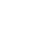 Vaca en el campo bajo el sol